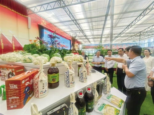 2025中國榆中高原夏菜新品博覽會盛大開幕，1087個新品種引領(lǐng)農(nóng)業(yè)創(chuàng)新