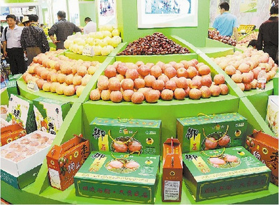 德合鑫農(nóng)副產(chǎn)品展銷會“廣西行”即將啟動，首站落地百色