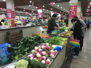 朝暉農(nóng)副產(chǎn)品綜合市場(chǎng) 7本臺(tái)賬做好農(nóng)貿(mào)市場(chǎng)“放心賬”